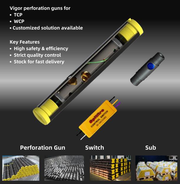 Vigor Perforating System