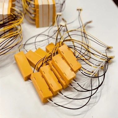 Addressable Switch