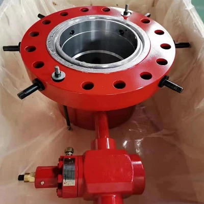 Casing Head Assembly