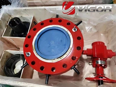 Casing Head Overview